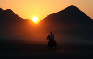 A jockey competes with his horse in the Wadi Rum International Endurance Ride in the Jordanian desert. AWAD AWAD/AFP/Getty Images.