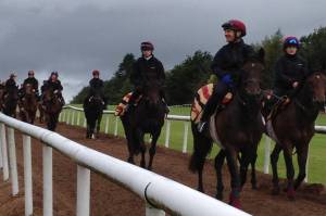 Horses from trainer Aiden O'Brien's Ballydoyle training operation