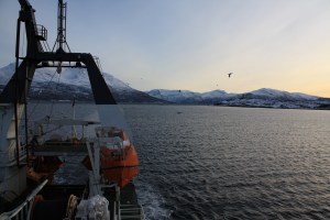 ‘Vital Sign’s heads to the Norwegian Arctic on the quest for the next generation of antibiotics