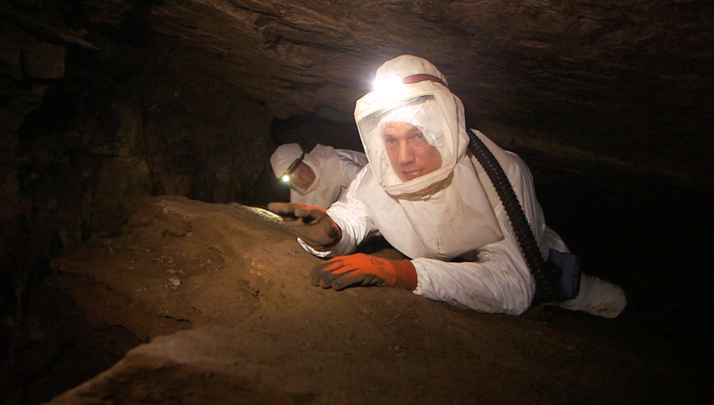 David in cave